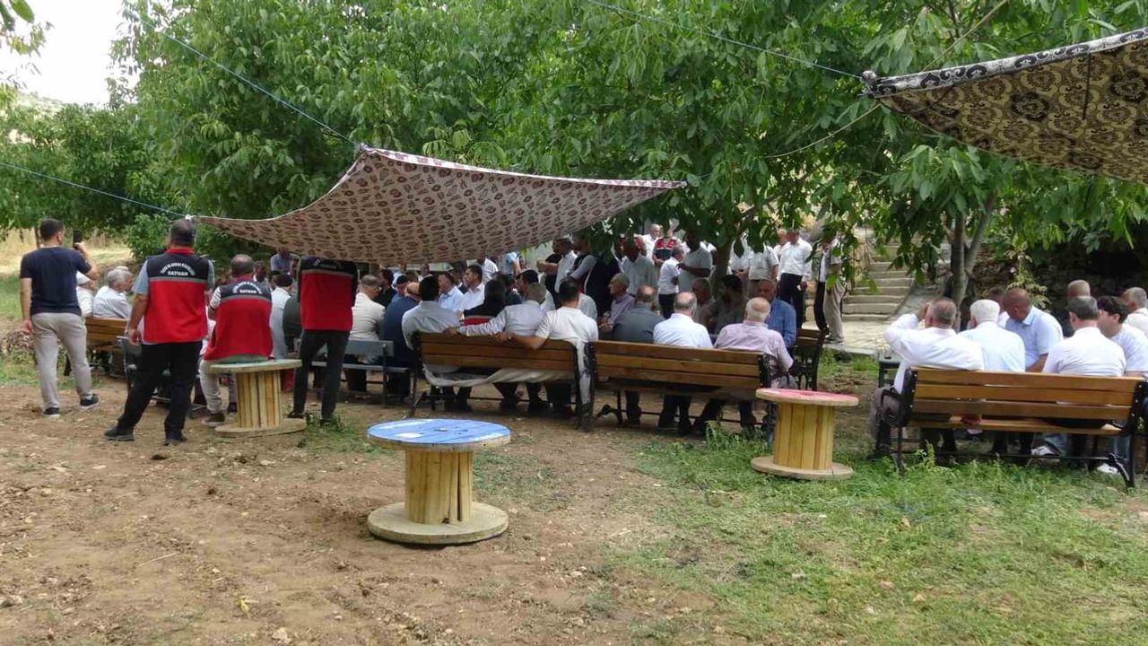 Bağlıca’da mezrone üzümü için kooperatif hamlesi: bağlar yeniden canlanacak