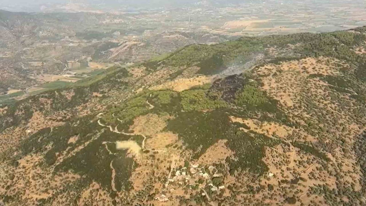 Bahçearası'nda başlayan yangın, geniş çaplı müdahale ile kontrol altına alındı