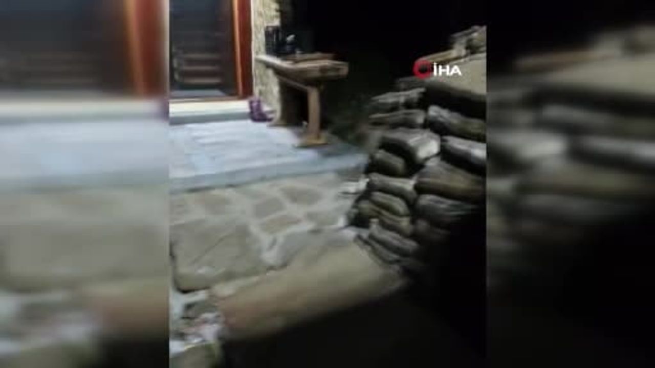 Bahçedeki tilkiyle kurulan beklenmedik dostluk