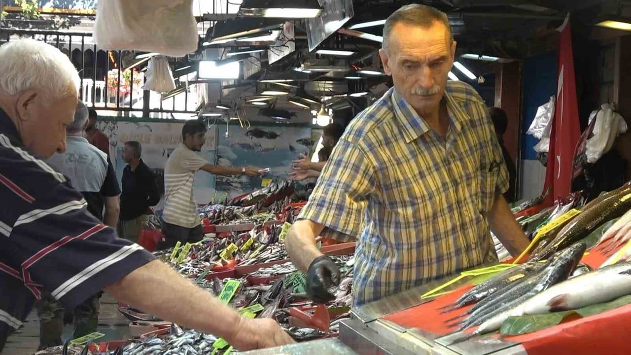 Balık sezonu Yalova'da tezgâhları canlandırdı, fiyatlar geriliyor