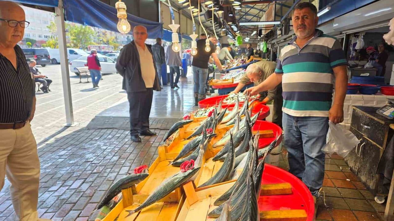 Bandırma'da palamut hareketliliği tezgâhlara yansıdı