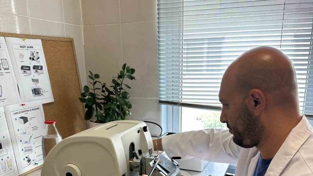 Bandırma enstitüsünde histoloji laboratuvarı ile araştırma altyapısı güçleniyor