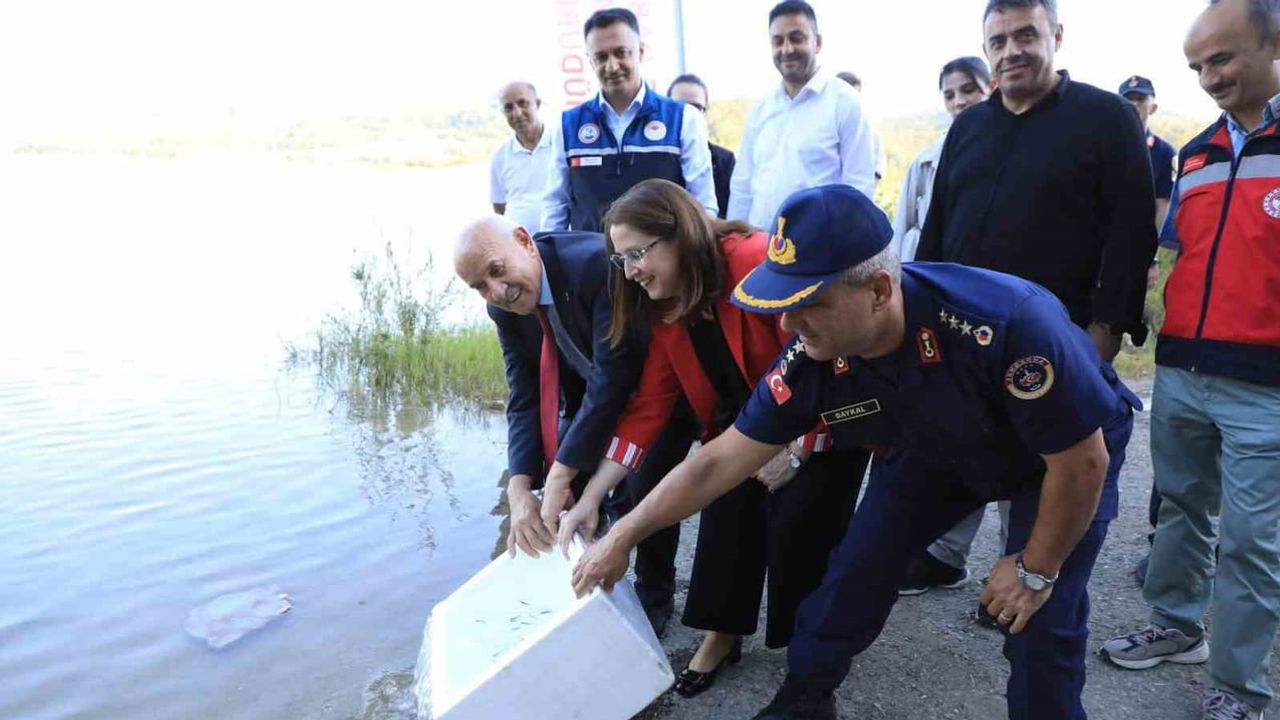 Bartın’da baraj ekosistemine 145 bin sazan takviyesi yapıldı