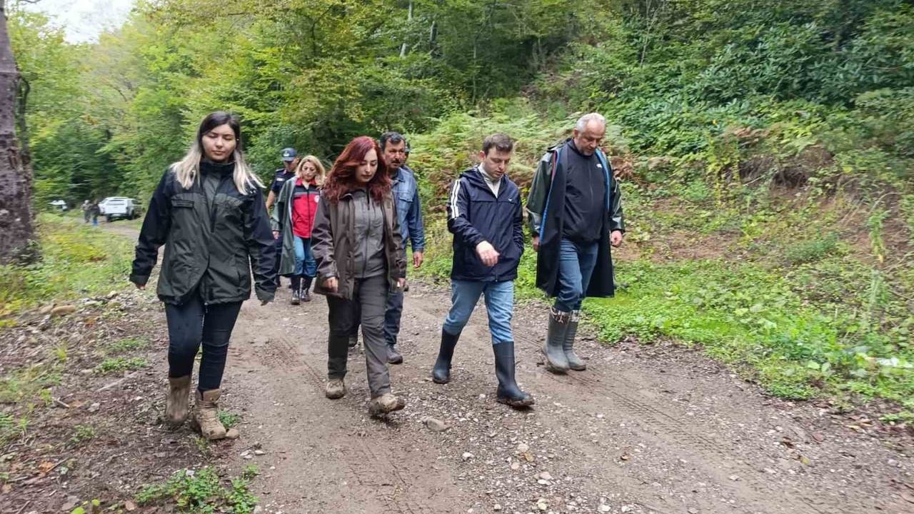 Bartın’da sülün salımıyla yaban hayatına nefes