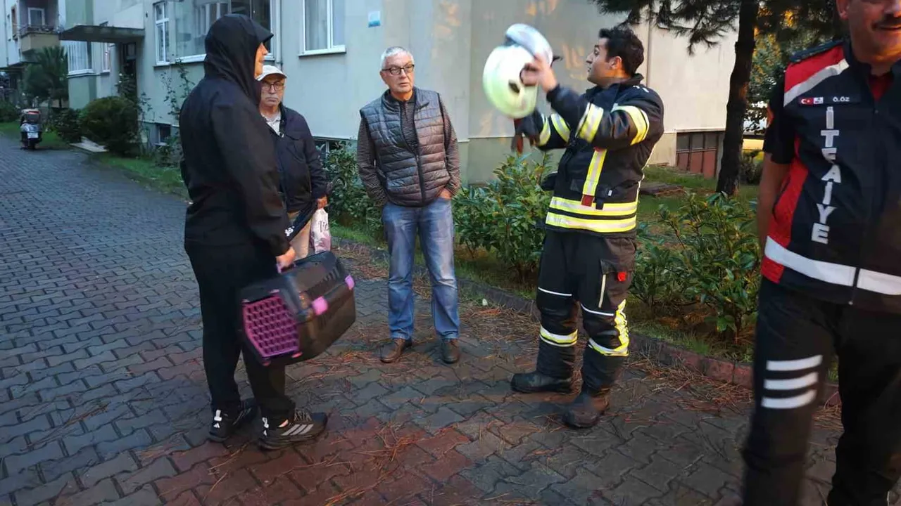Bartın'da yağmurdan korunurken ağaçta mahsur kalan kedi kurtarıldı