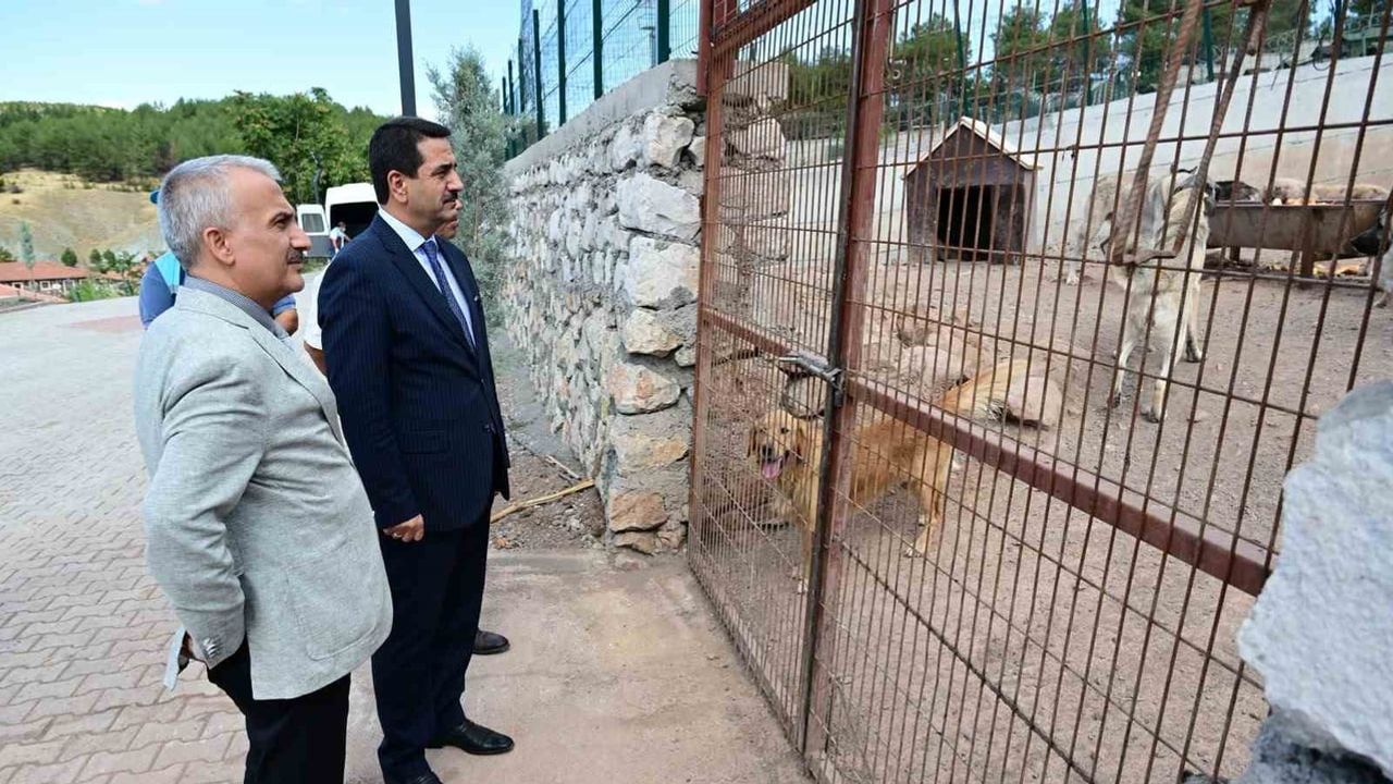 Başkan Taşkın'dan barınak gezisi: 350 hayvana yerinde bakım