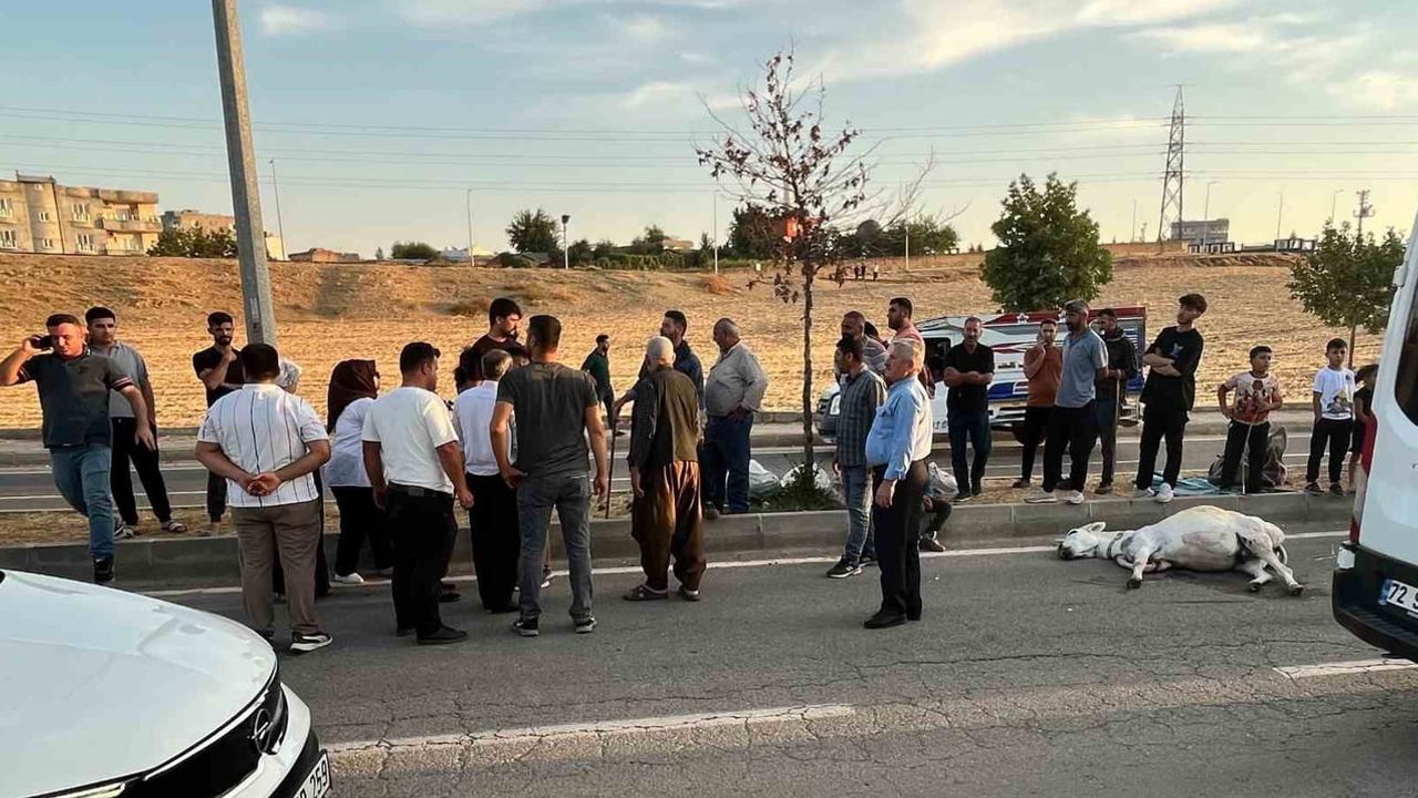 Batman’da aniden yola çıkan eşek hafif ticari araca çarptı