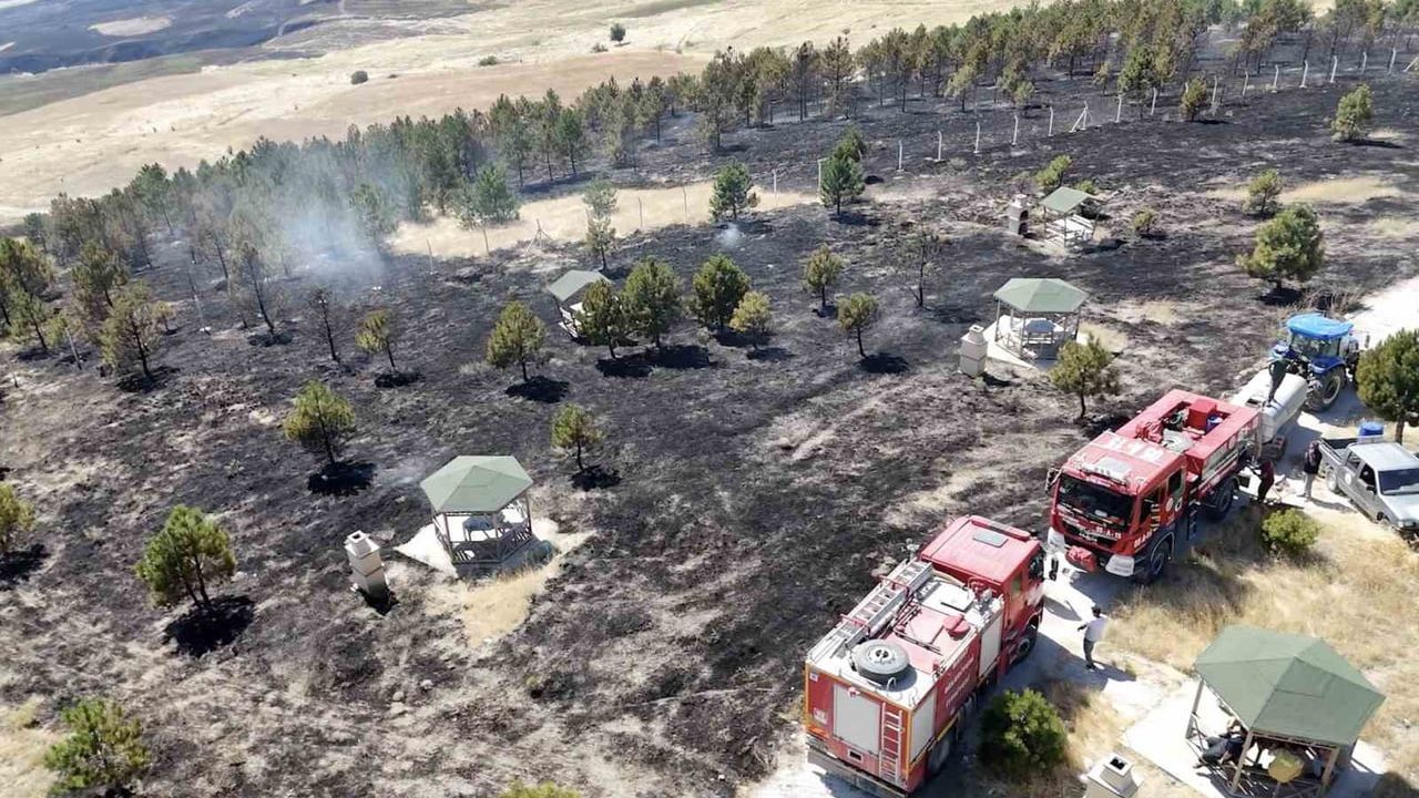 Bayat'ta tarla yangını ormanlık alana sıçradı, ekipler saatlerce müdahale etti