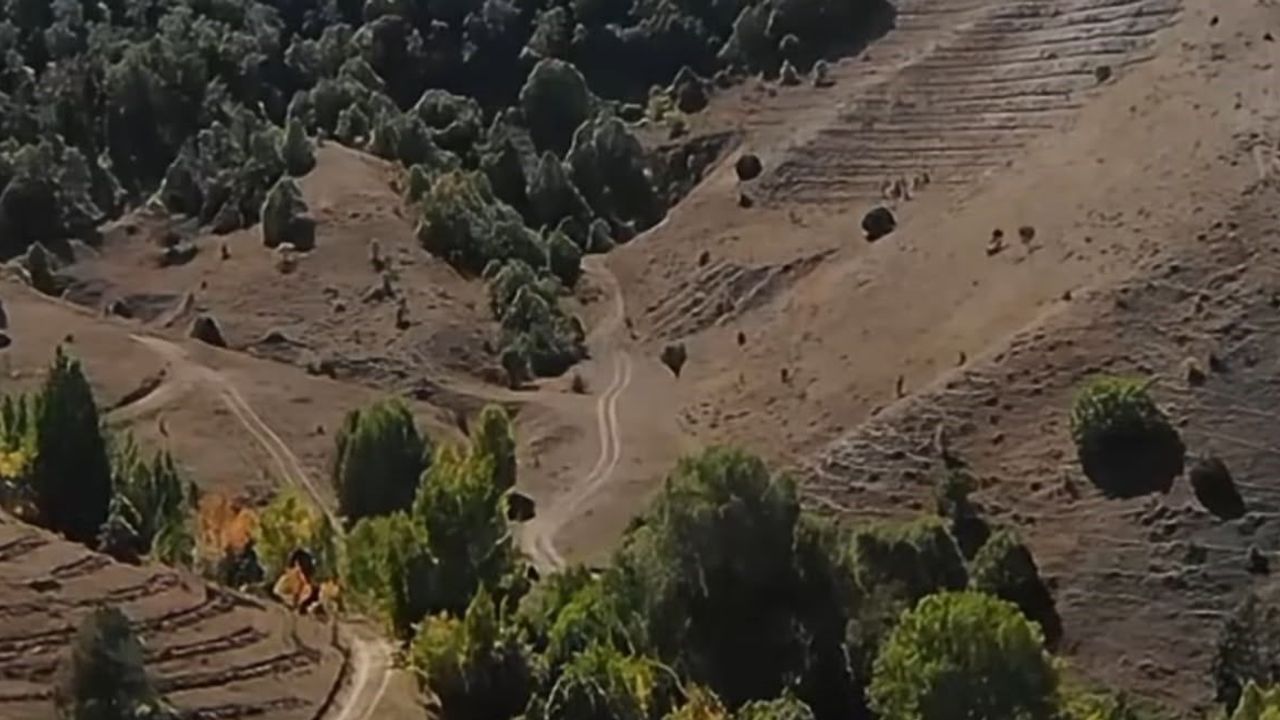 Bayburt'ta 415 hektarda erozyonla mücadele için 118 bin fidan dikilecek