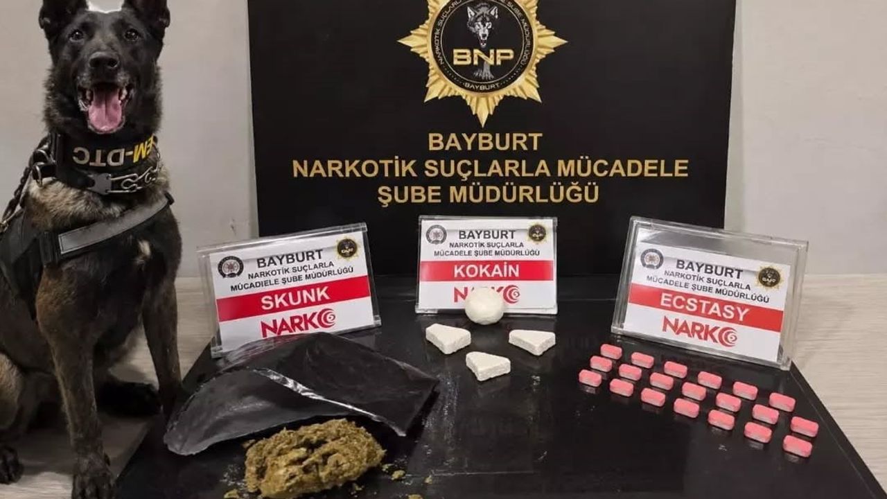 Bayburt'ta detektör köpeğiyle uyuşturucu operasyonu: şüpheli tutuklandı