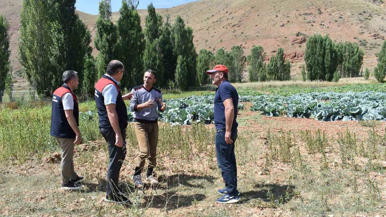 Bayburt'ta saha ziyaretleriyle üretim sorunlarına yerinde çözüm arayışı