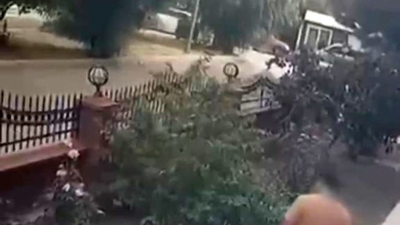 Bayraklı'da güvenlik kamerası şiddeti ortaya çıkardı: yavru kediye tekme atan kişi adliyeye sevk edildi