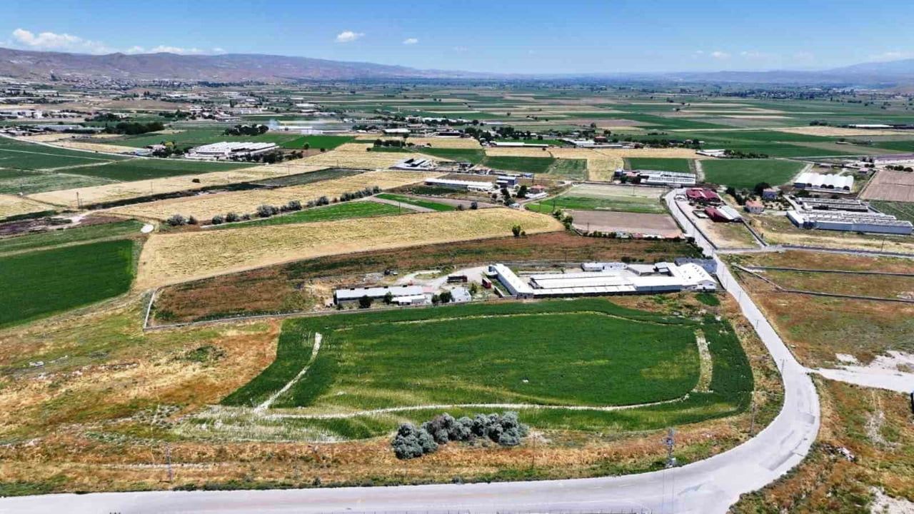 Belediyenin tarlasından sofraya: aspir üretimi paylaşım zinciri