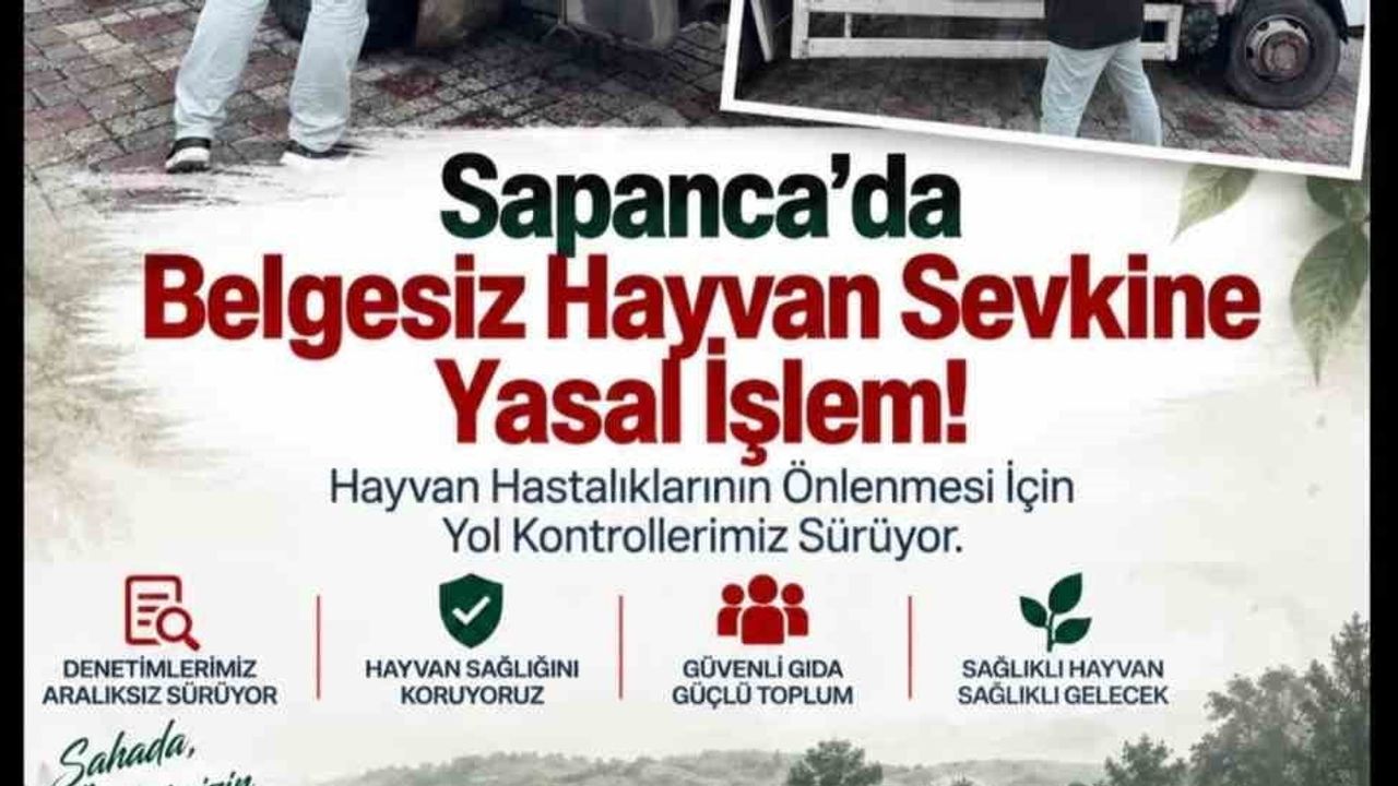 Belgesiz hayvan sevkiyatı Sapanca'da 11 küçükbaş için yasal işlem