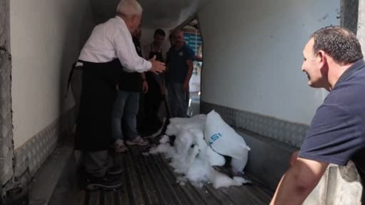 Beylikdüzü'nde sergilenecek dev kılıç balığı deniz bolluğuna işaret ediyor