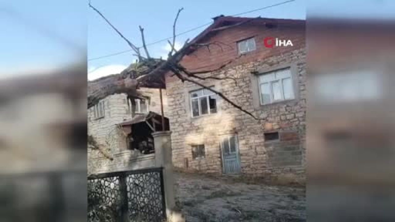 Beyşehir'de fırtına anı: kökünden sökülen söğüt otomobilin üzerine yıkıldı