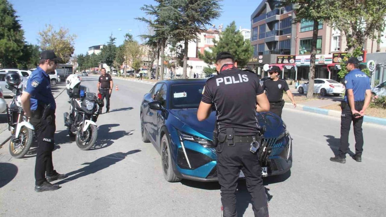 Beyşehir sokaklarında yunuslar göreve başladı