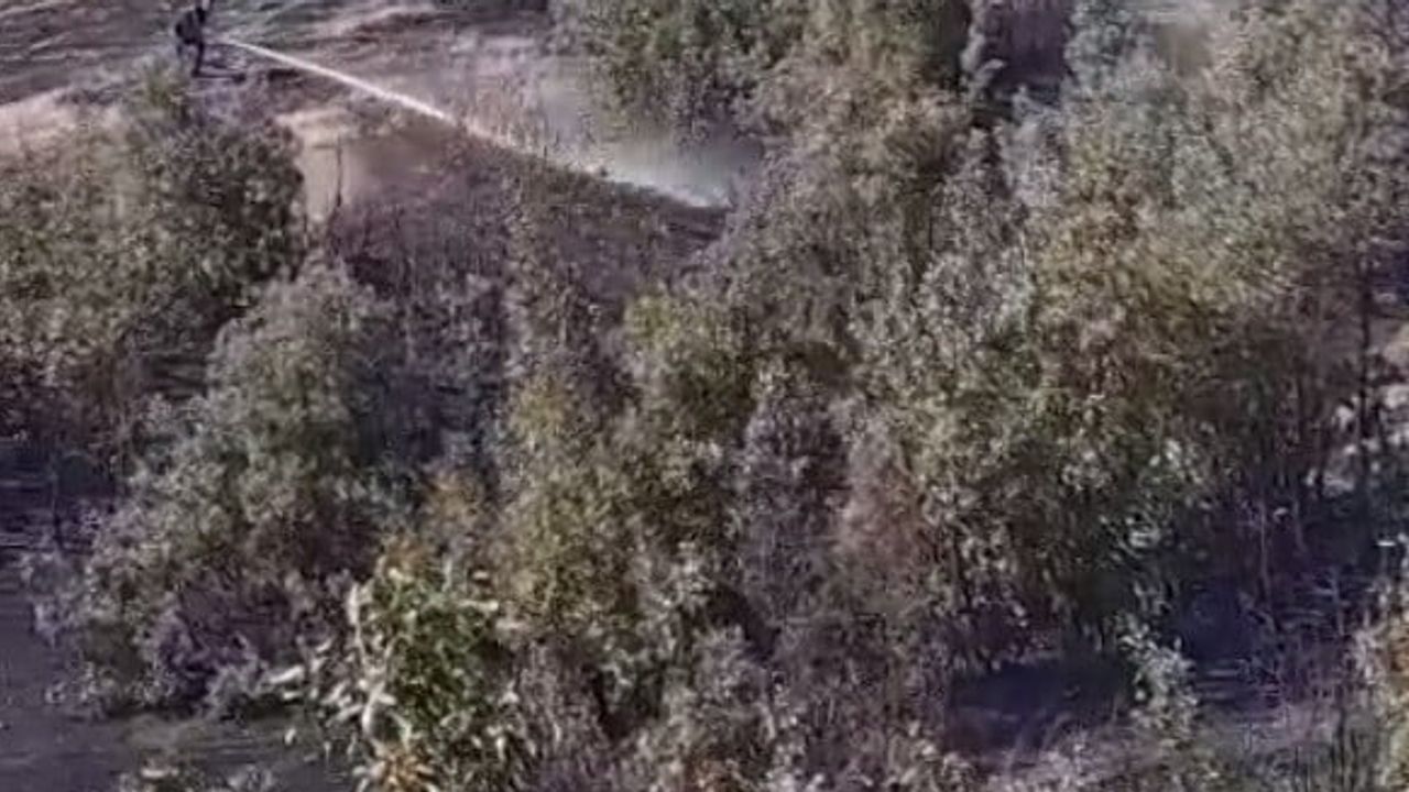 Beytüşşebap kırsalında alevlerle mücadele: Koyunoba yakınlarındaki yangın sürüyor