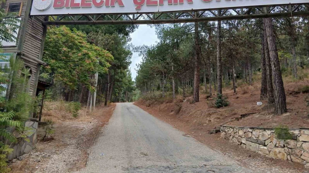 Bilecik şehir ormanının yolları köstebek delikleri nedeniyle zarar gördü