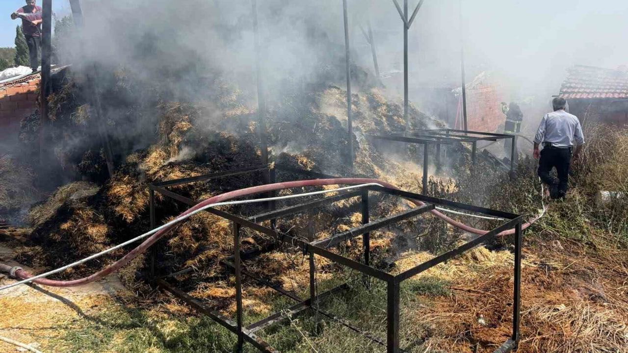 Bilecik'te içköy ve Düzağaç'ta saman balyalarında yangın
