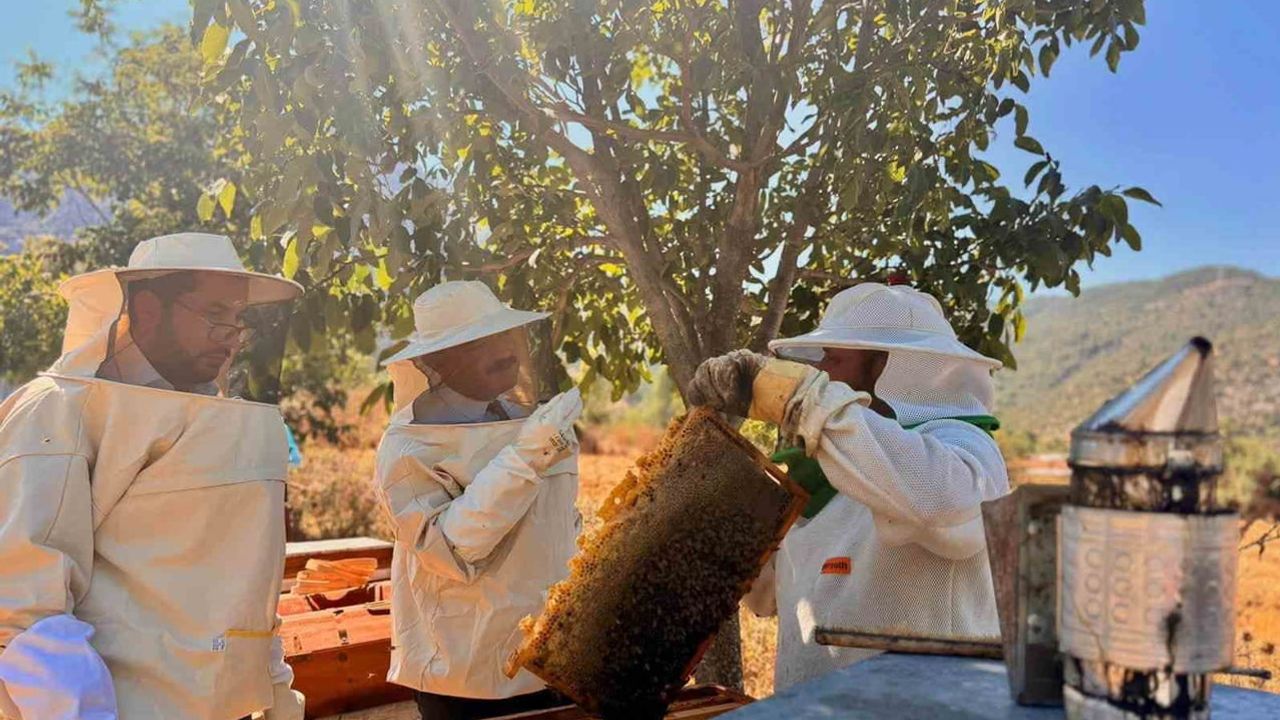 Bilecik'te kovandan sofraya: 22 bin 500 kovan yıllık 135 ton bal sağlıyor