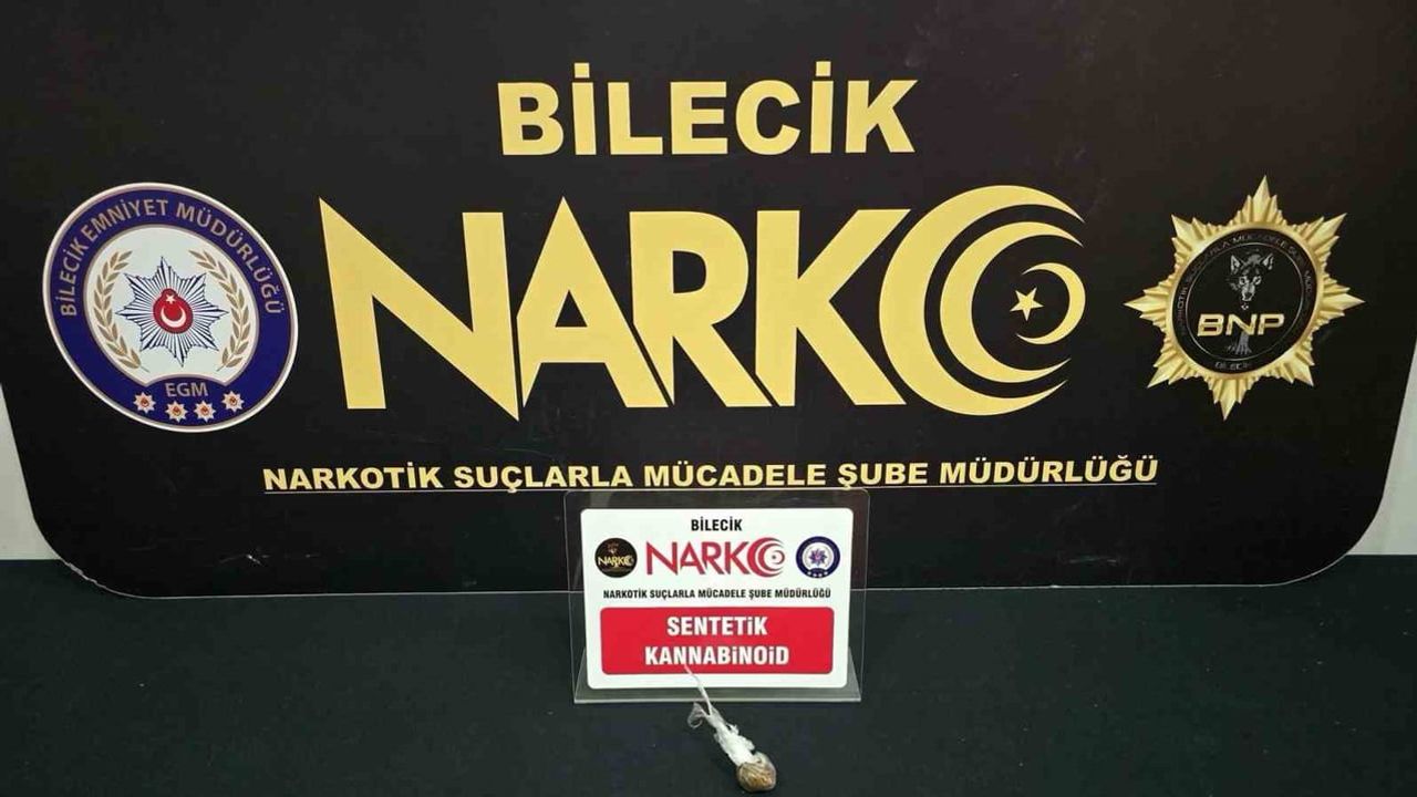 Bilecik'te uyuşturucu operasyonunda bonzai ele geçirildi, 1 şüpheli yakalandı