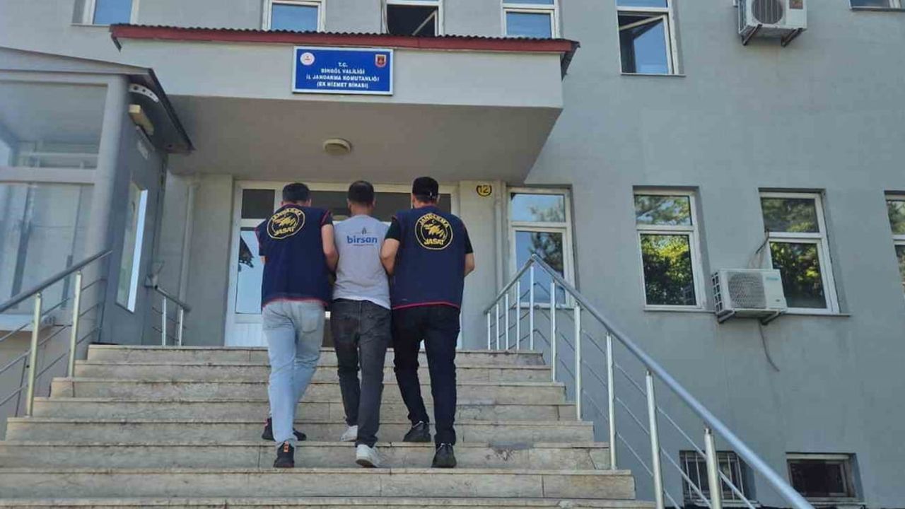 Bingöl'de 29 operasyonda binlerce kenevir ve çok sayıda kaçak ürün ele geçirildi