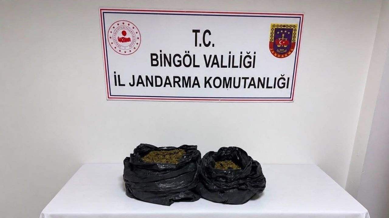 Bingöl'de bir haftalık operasyonda 19 bin 314 kök kenevir ve 4 kilo 757 gram esrar bulundu