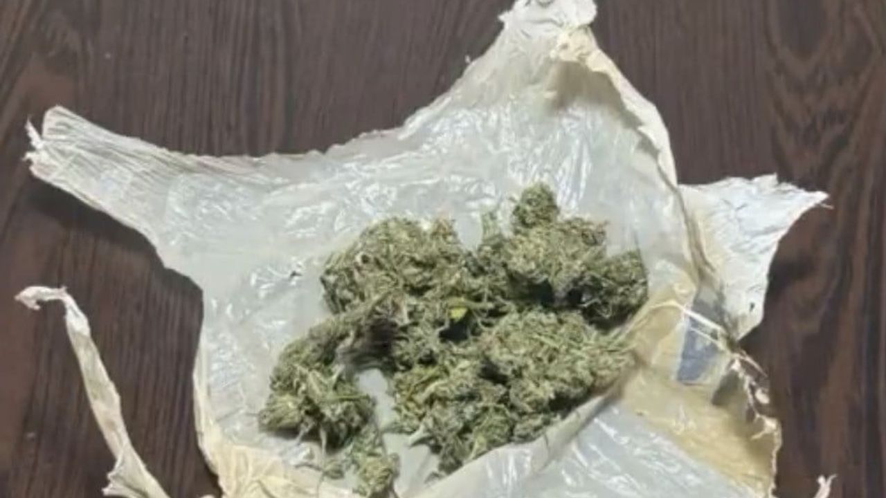 Bingöl'de emniyetin çok yönlü operasyonunda 38 kişi yakalandı, 7 tutuklandı
