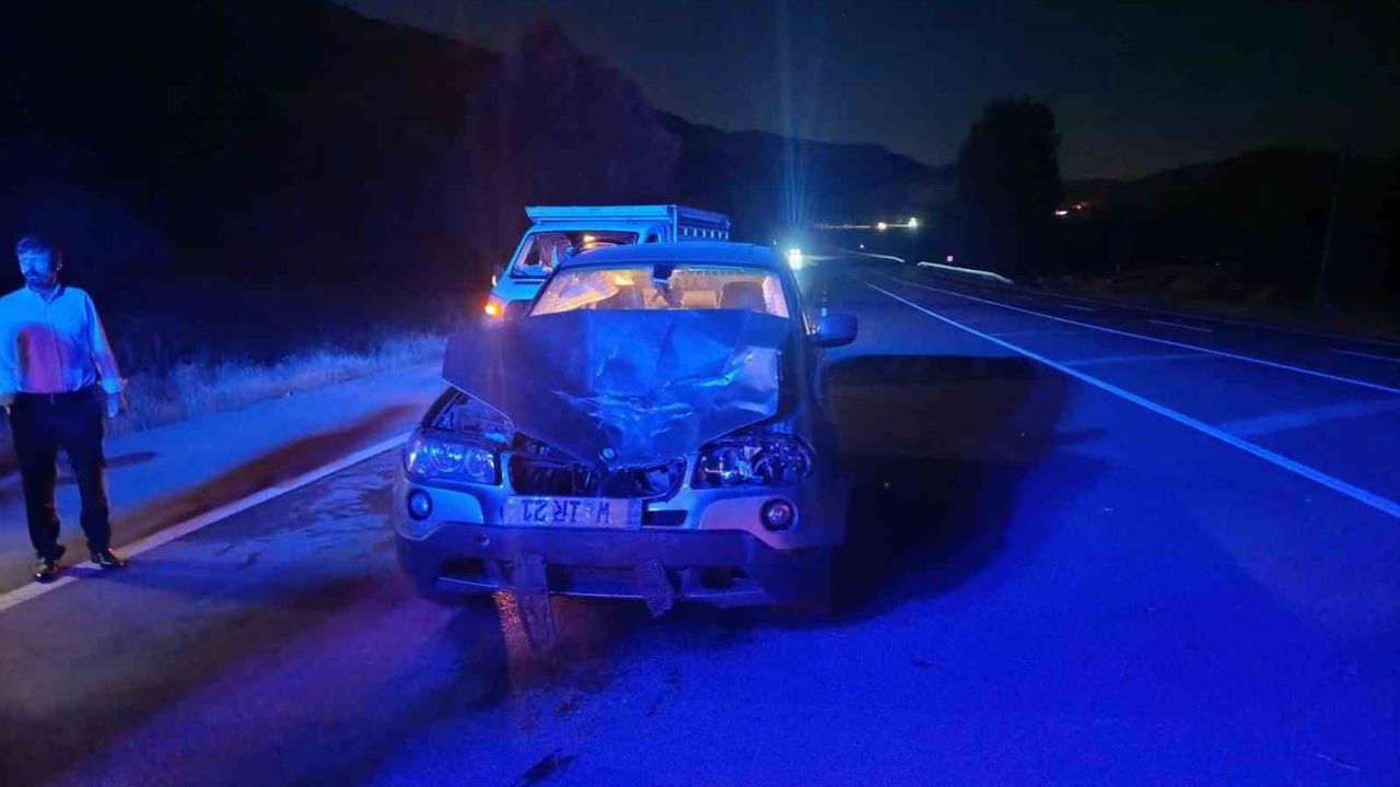 Bingöl'de Karlıova yolu yakınında yola çıkan ata çarpan otomobilde 1 kişi yaralandı