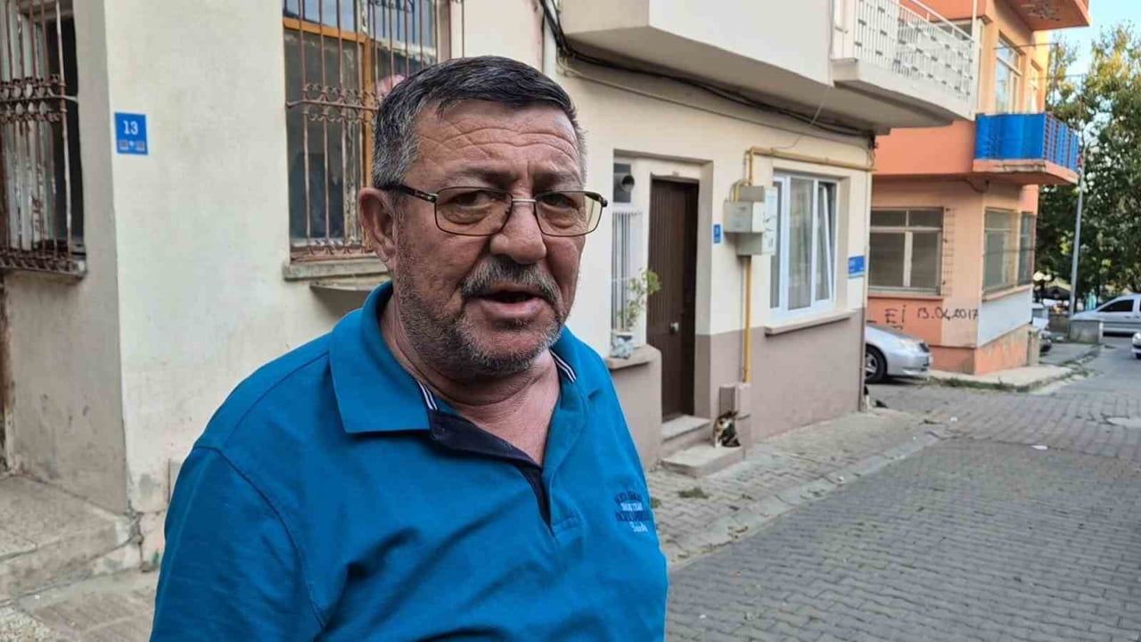 Bir kediyle başlayan sokak, şimdi onlarca kediye ev sahipliği yapıyor