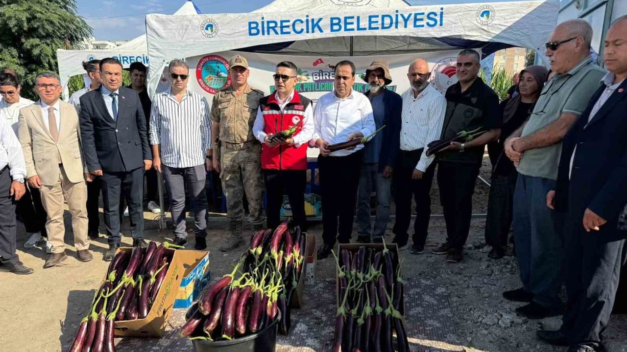 Birecik'te hasatla başlayan festivalde tescilli patlıcan ve kelaynak ön planda