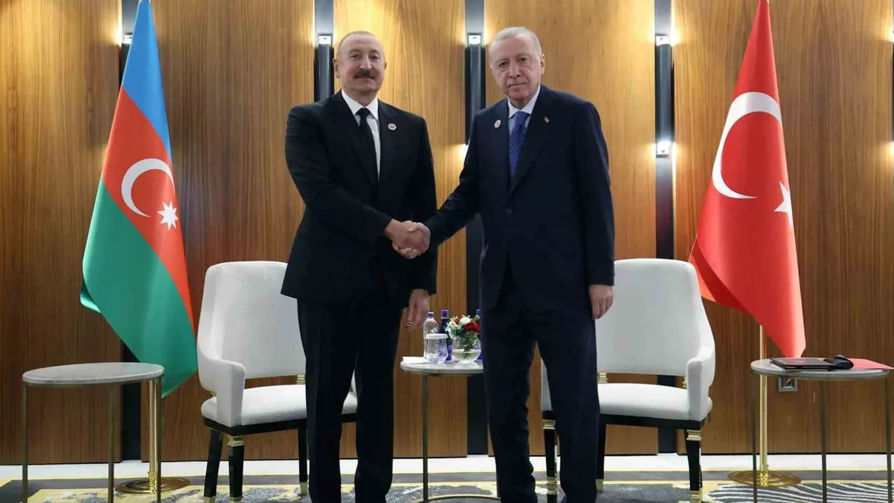 Bişkek'te yüz yüze: Erdoğan ve Aliyev zirve kapsamında bir araya geldi
