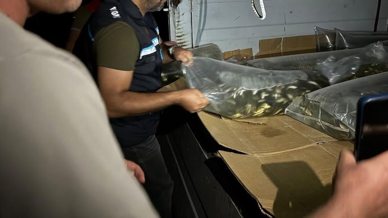 bitlis’te su ekosistemine güç veren 1 milyon 397 bin 500 yavru sazan bırakıldı