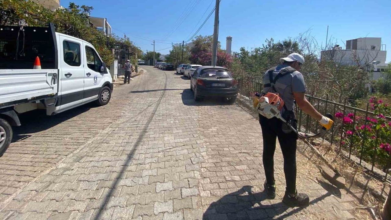 Bodrum'da yangın riskine karşı kapsamlı ot temizliği sürüyor