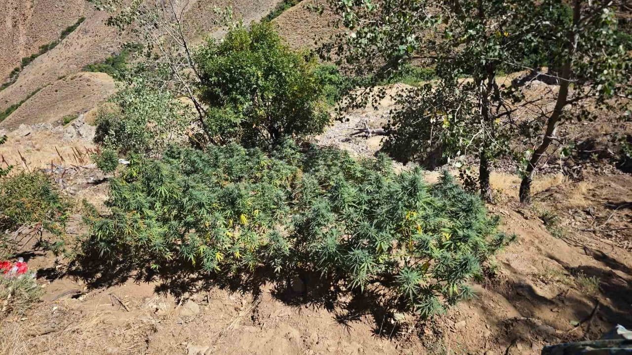 Bölge genelinde kapsamlı operasyon: Bingöl jandarması bir haftada 41 olaya müdahale etti