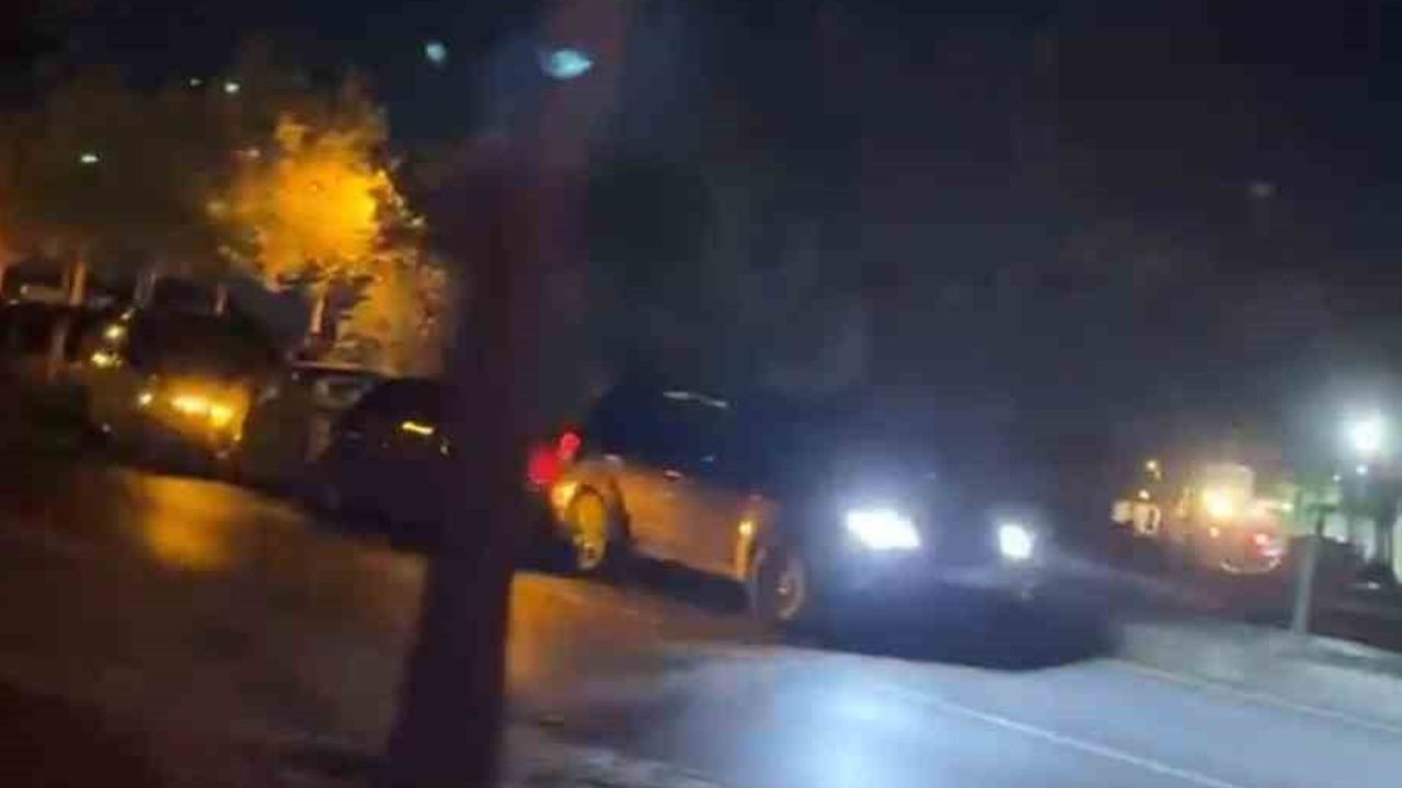 Bolu'da aniden yola çıkan köpekler zincirleme kazaya yol açtı