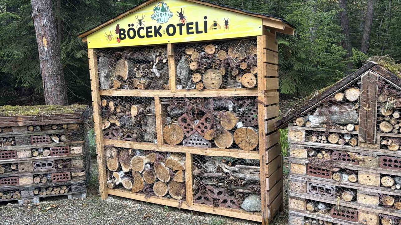 Bolu'da doğayı sınıfa çeviren orman okulu eğitime başladı