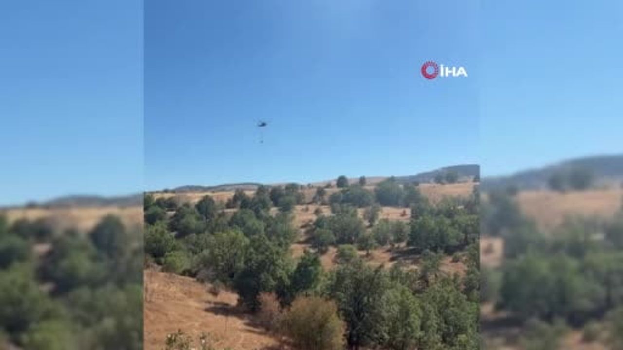 Bolu'da hızlı müdahale: Bali köyü'ndeki orman yangını kontrol altına alındı