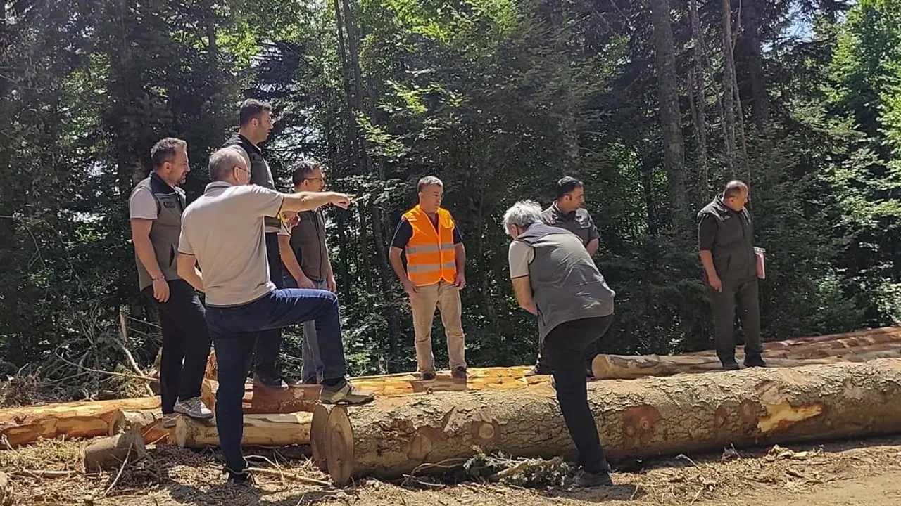 Bolu ormanlarında gelecek için hazırlık: saha denetimi tamamlandı