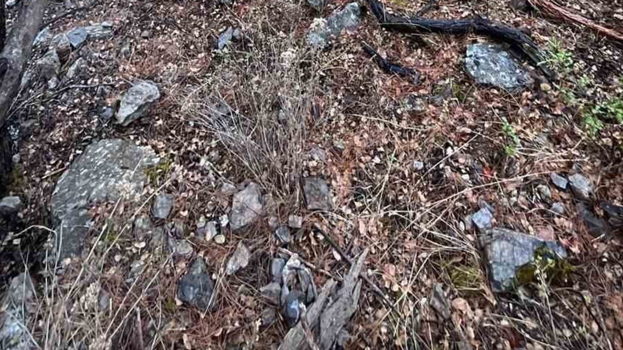 Bozbel'de gece başlayan yangın ulaşım zorluğuna rağmen sabah kontrol altına alındı
