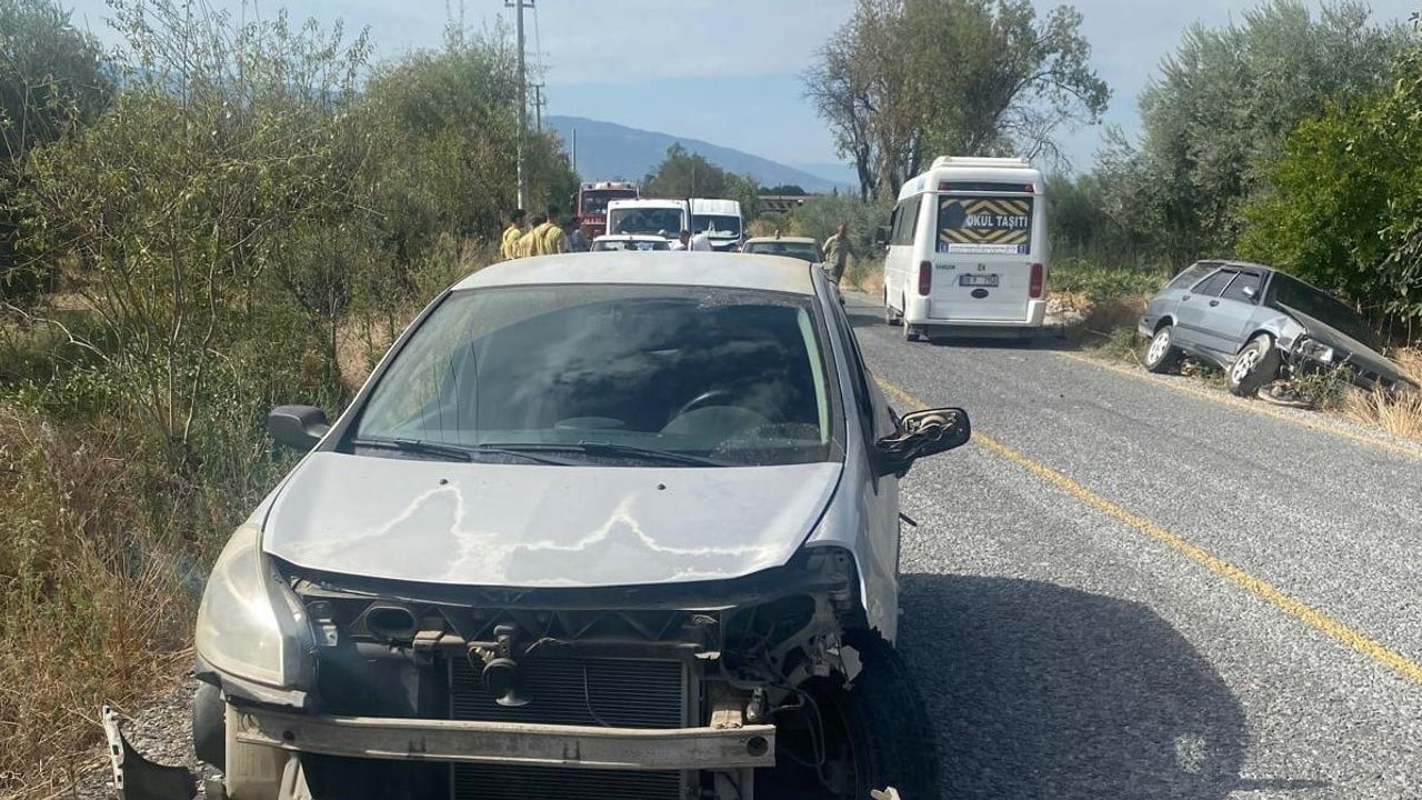 Bozdoğan'da yola çıkan köpek zincirleme kazaya yol açtı: 2 yaralı