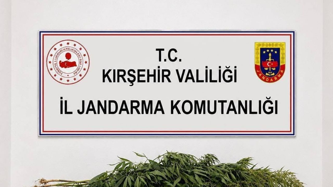 Boztepe'de ekili 30 kök uyuşturucuyla sonuçlanan ev aramaları