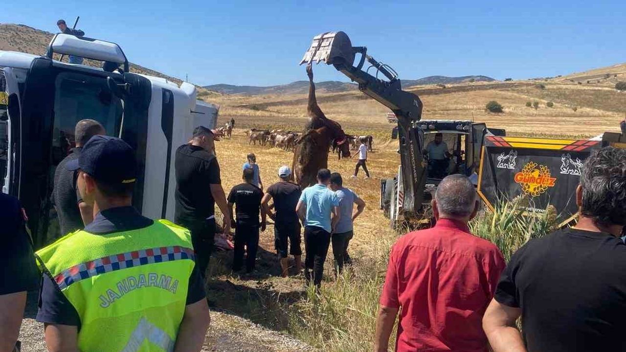 Boztepe'de kontrolden çıkan hayvan yüklü tır devrildi