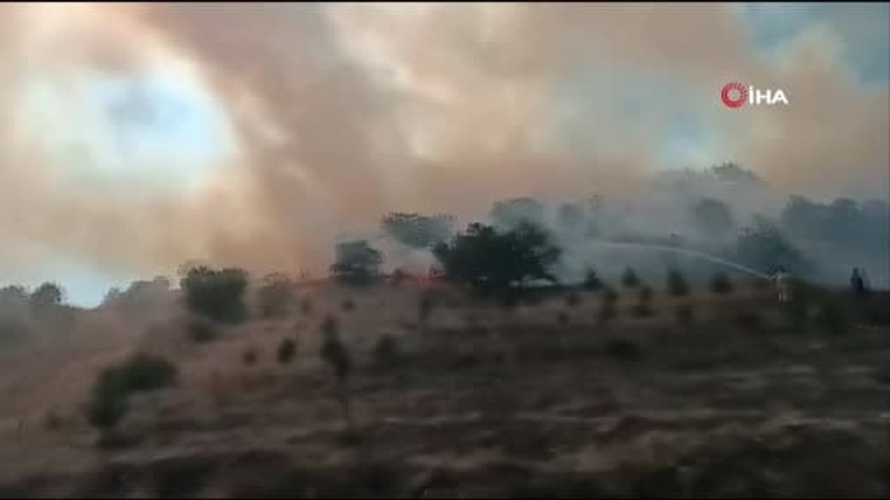 Bozüyük'te Hamidiye ormanındaki yangın kontrol altına alındı