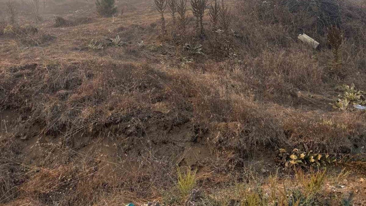 Bozüyük’te Hamidiye yolundaki orman yangını yoğun müdahaleyle kontrol altına alındı