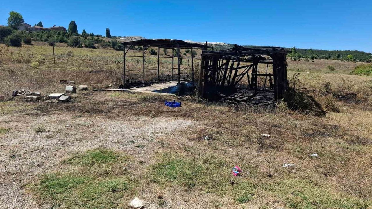 Bozüyük'te salça telaşı kıvılcımına dönüşünce gölgelik ve depo kullanılamaz hale geldi