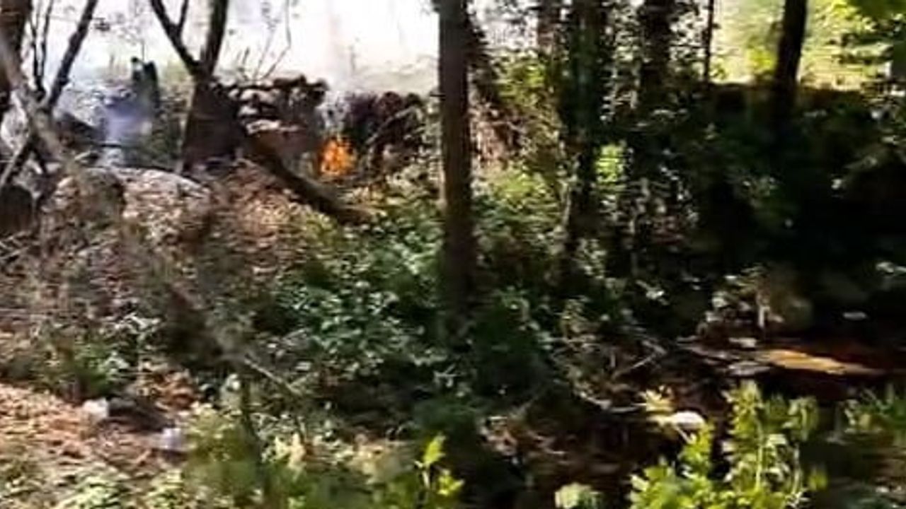 Bursa Keles'te mahalle sakinlerinin müdahalesi yangını büyümeden söndürdü