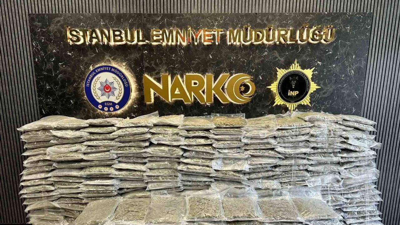 Büyük operasyon Beykoz'da: 409 kilo skunk ele geçirildi