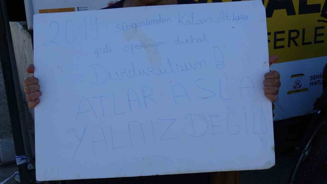 büyükada'daki son atların sevki tartışma yarattı